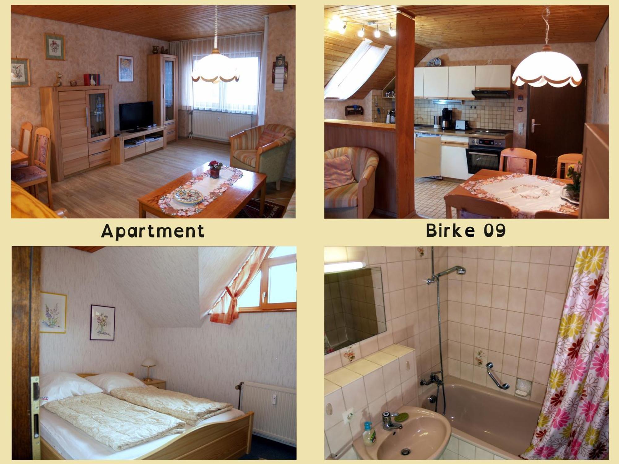 Appartement Birke 9, 10 Oder 11 à Todtmoos Extérieur photo